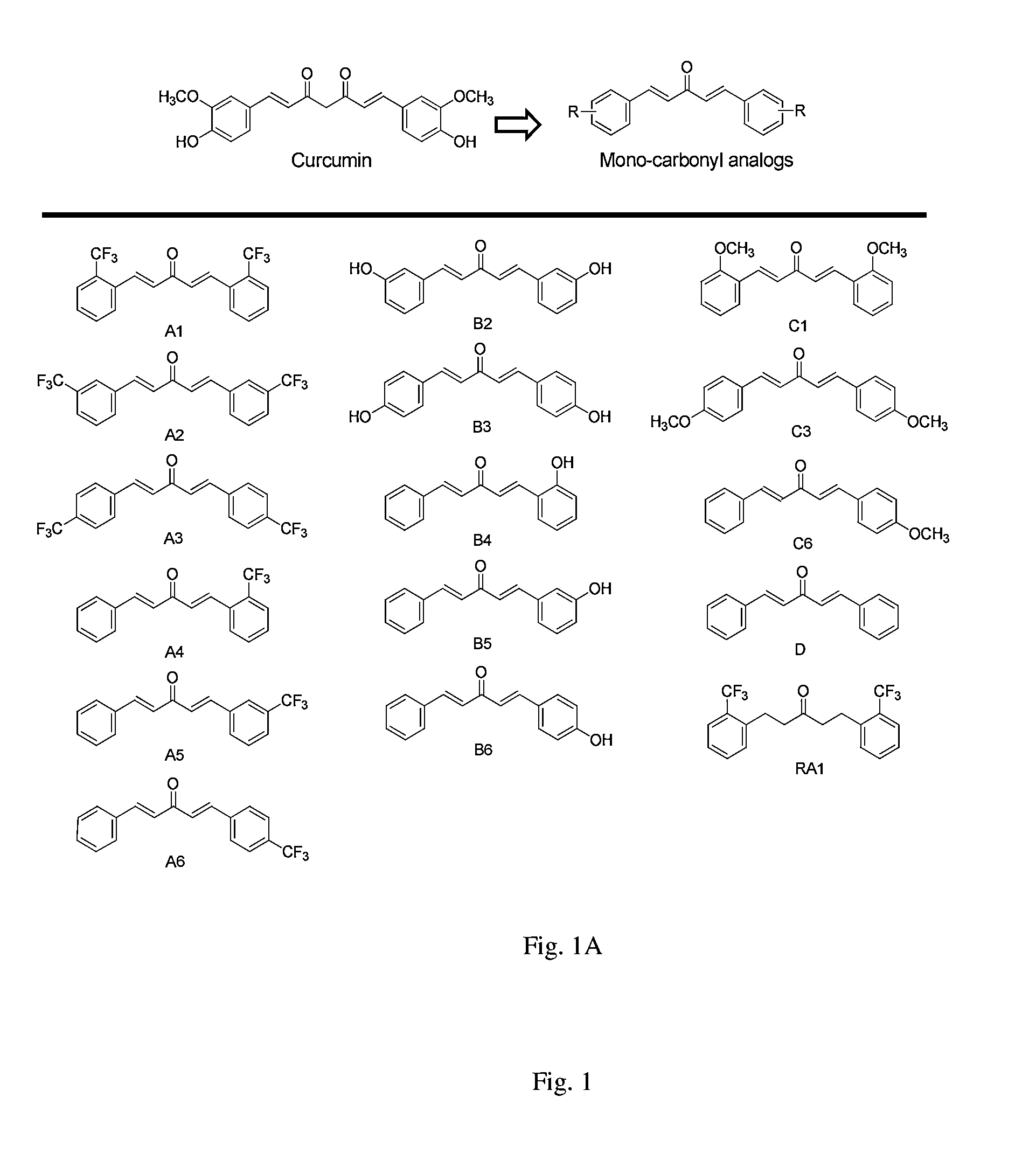 MTOR-independent activator of TFEB for autophagy enhancement and uses thereof