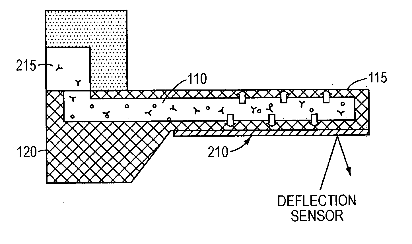 Measurement of concentrations and binding energetics