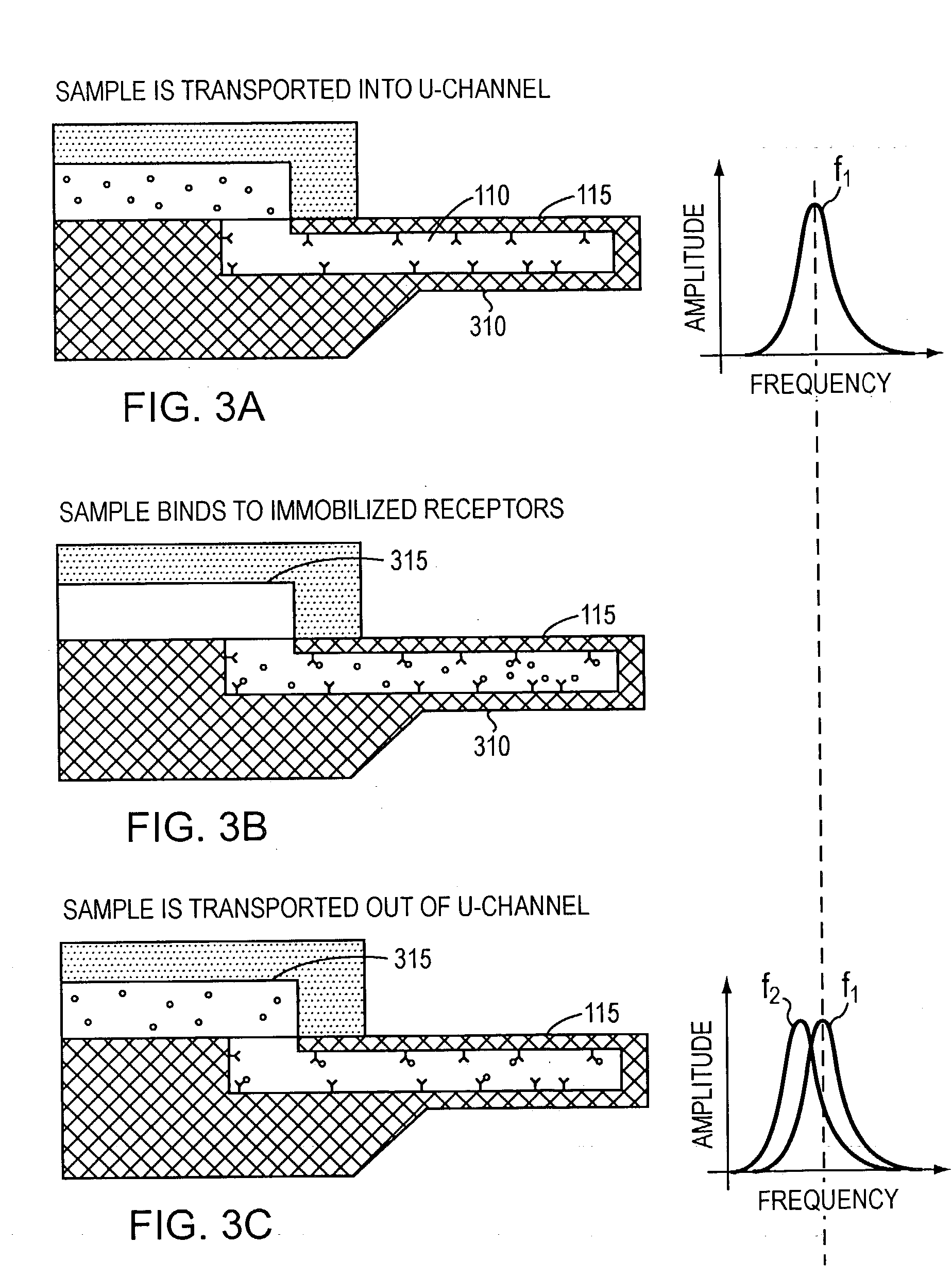 Measurement of concentrations and binding energetics