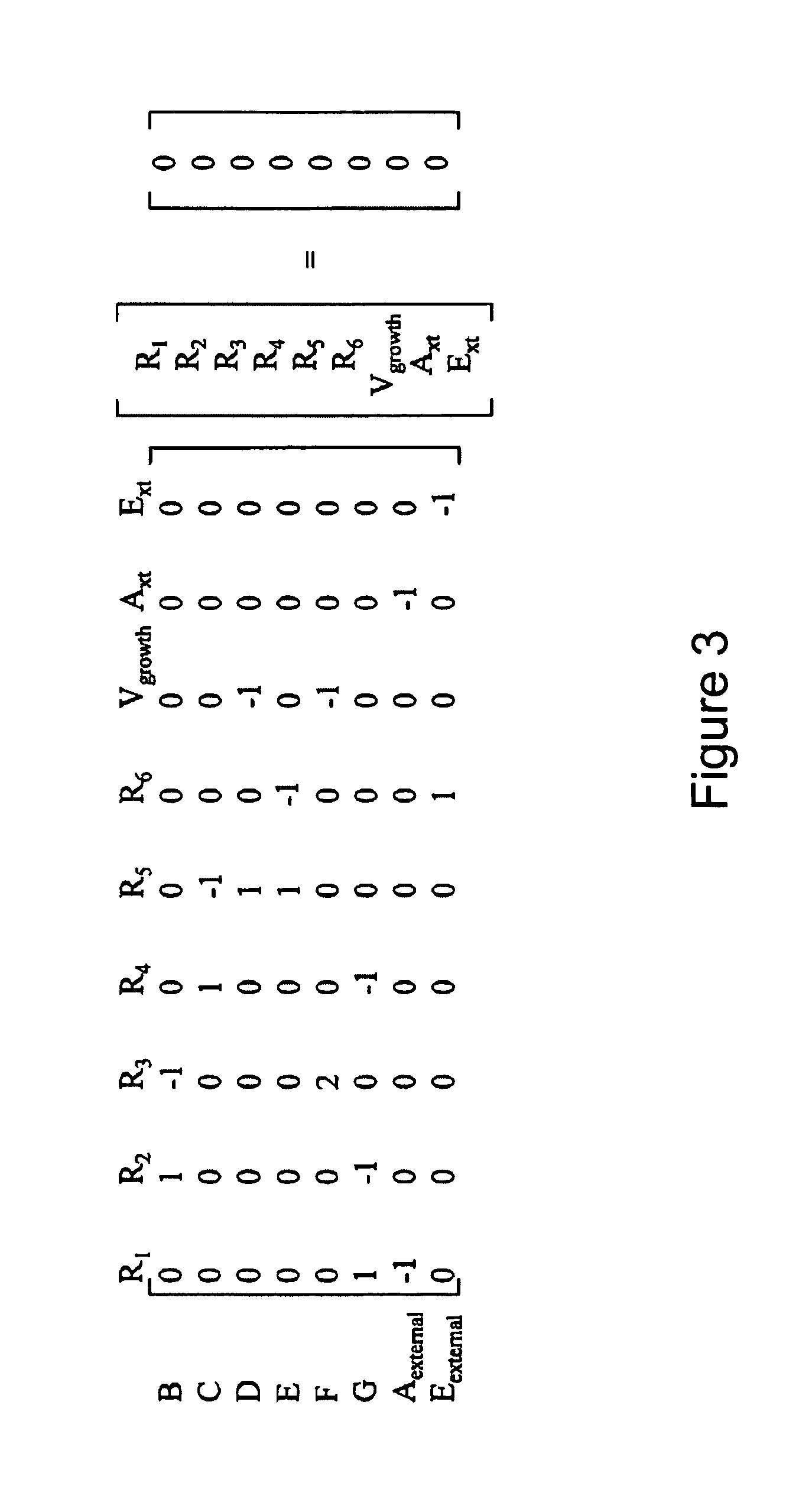 Multicellular metabolic models and methods