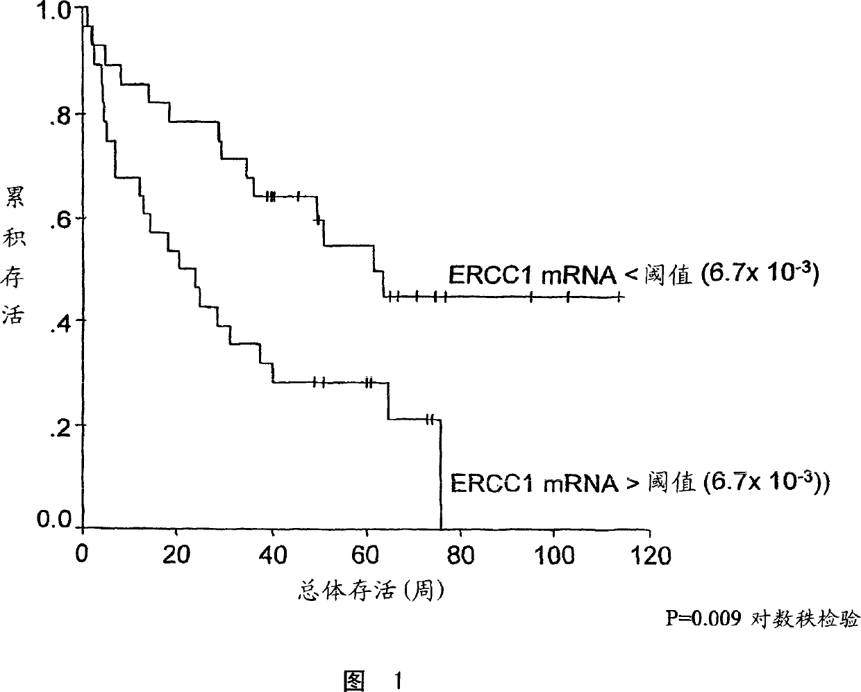 Method of determining a chemotherapeutic regimen based on ERCCI expression