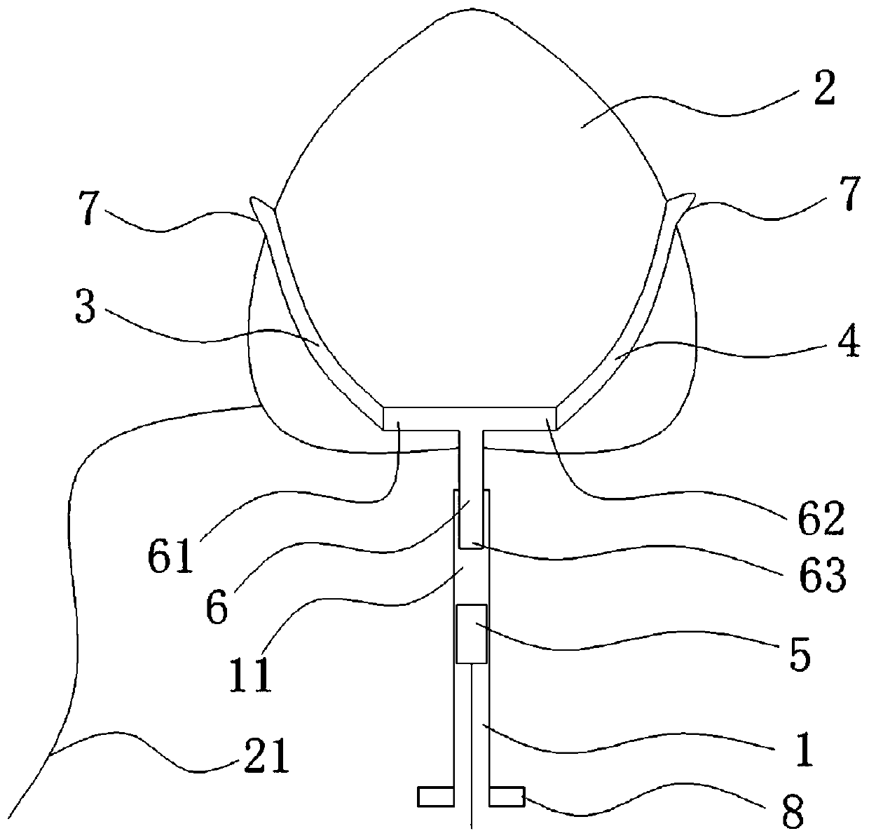 Trionychidae animal semen delivery device