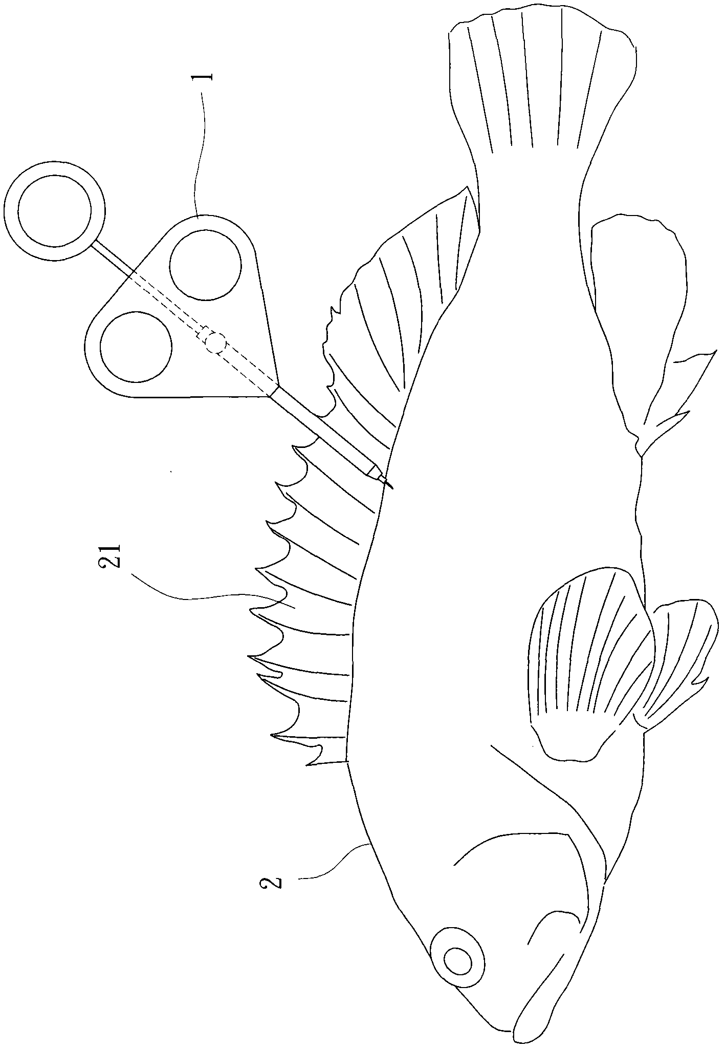 Synthetic decapeptide and method for promoting generation of fish yolk