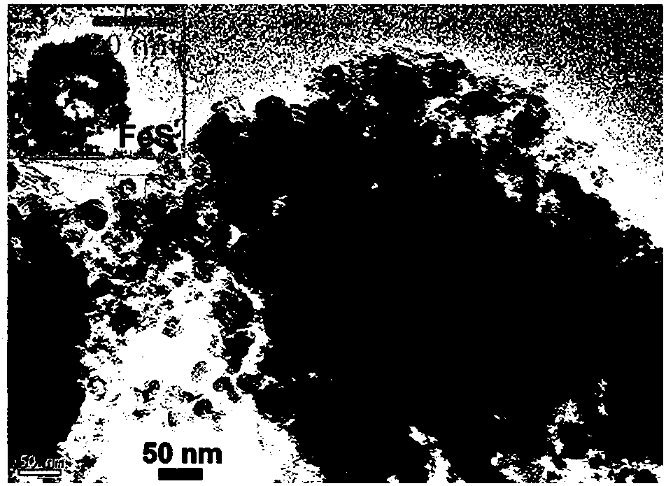 Lithium ion battery negative electrode material FeS/Fe/C and preparation method thereof