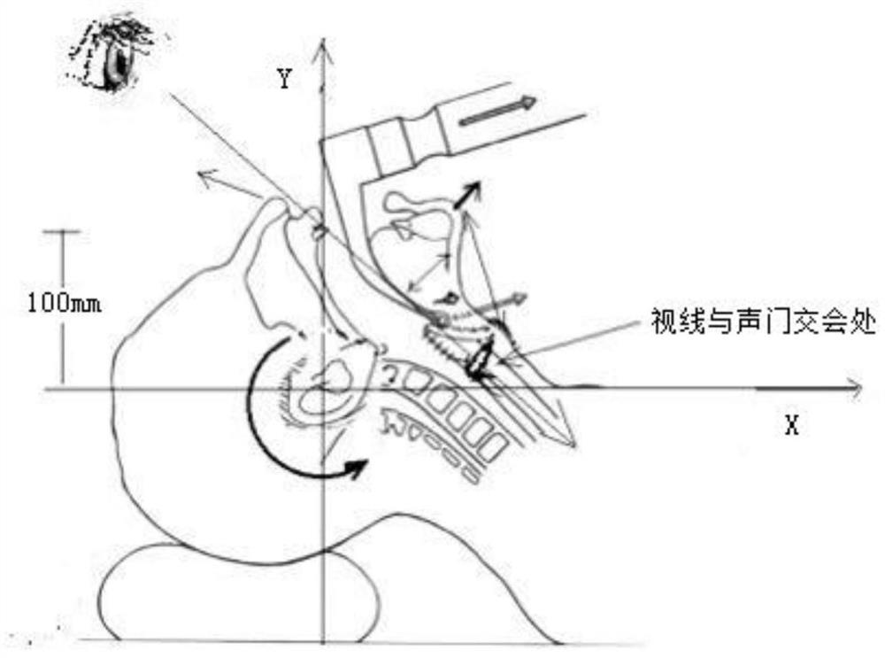 Computer application software and airway management data system for predicting difficult airway