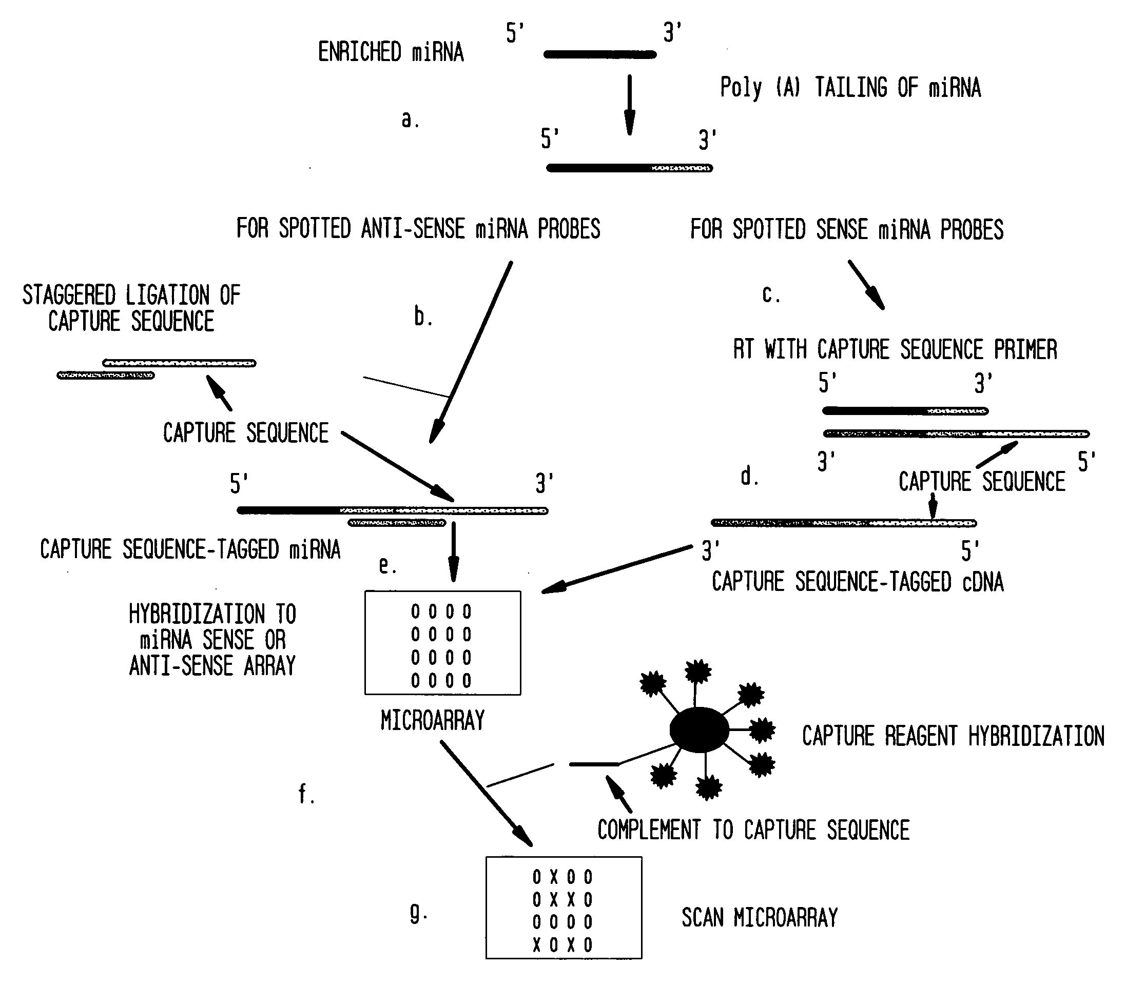 Methods for detection of microrna molecules