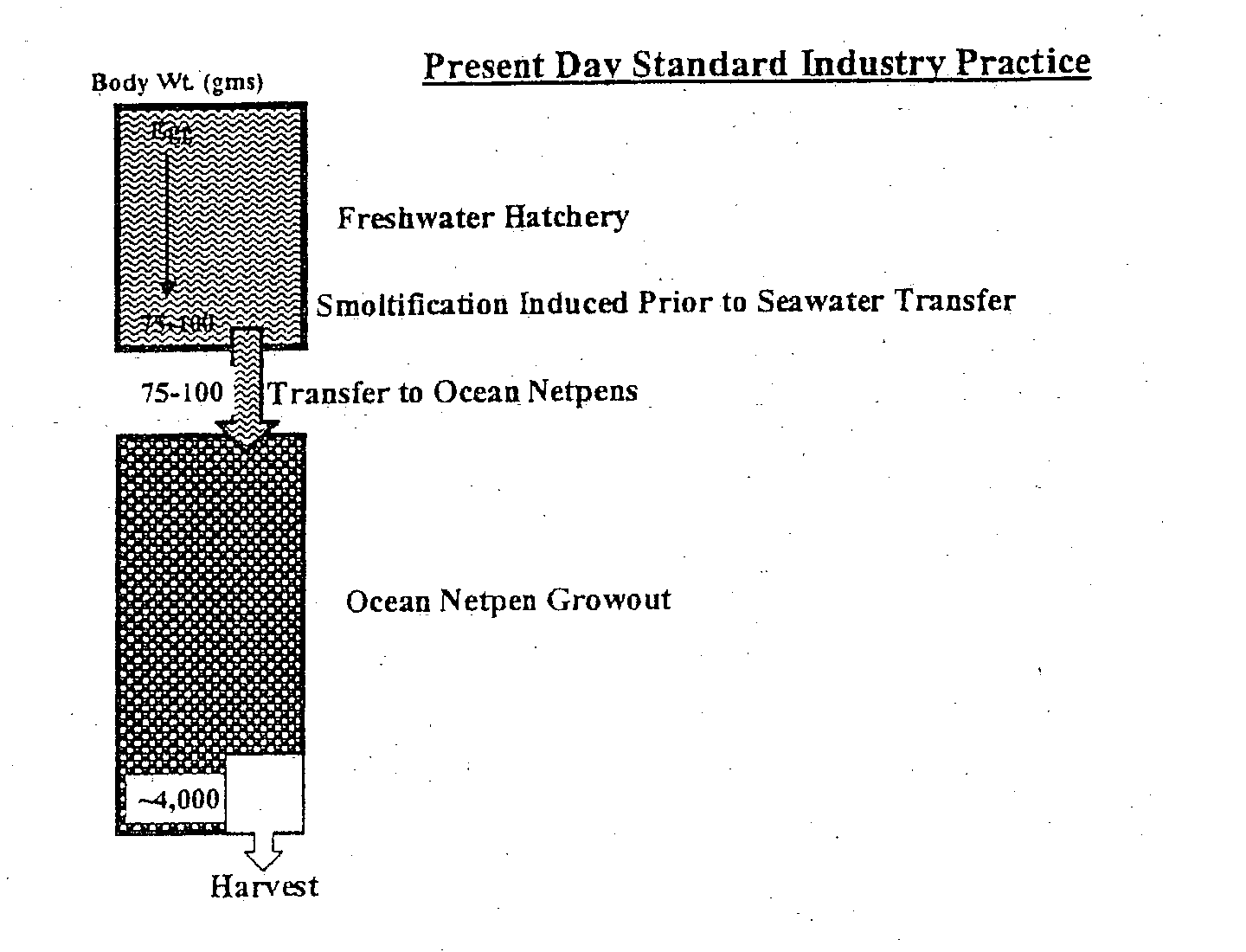 Methods for raising pre-adult anadromous fish