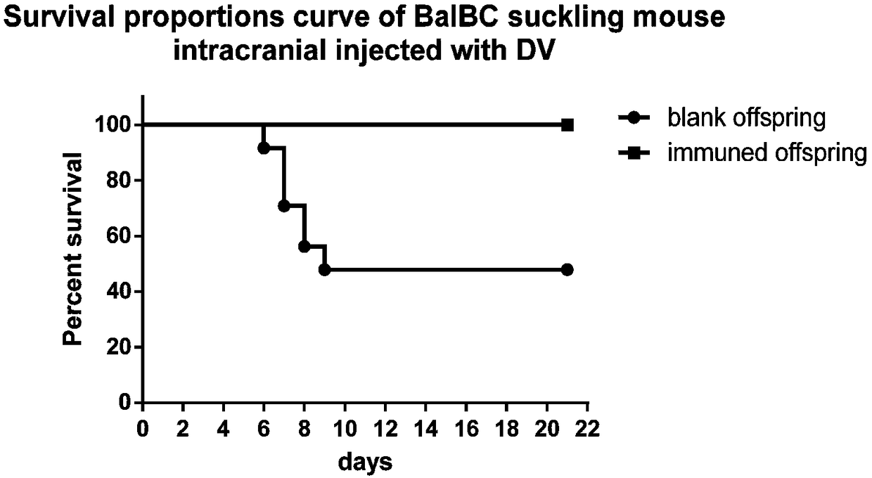 Method for evaluating immune effect of dengue vaccine