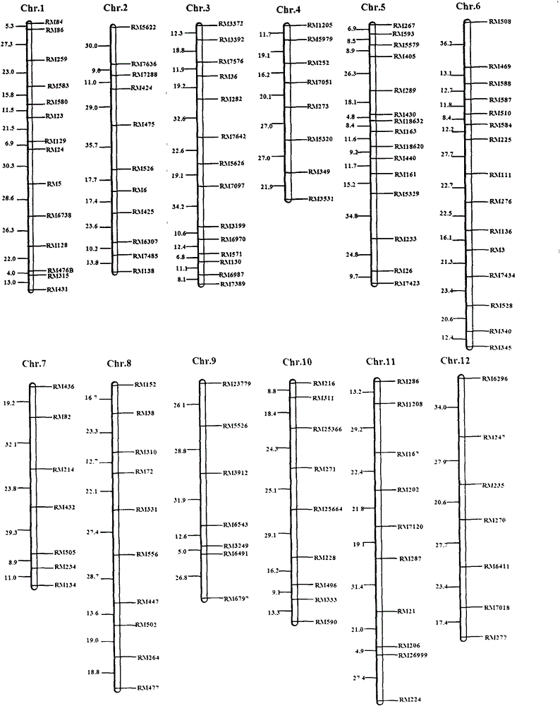 The ssr marker on chromosome 9 linked to the resistance qtl of the rice stem nematode and its application