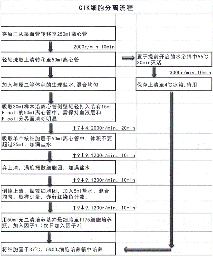 Efficient CIK cell preparation and detection method