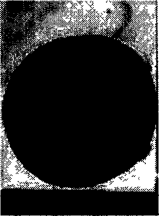 Method for preparing pesticide avermectin microcapsule