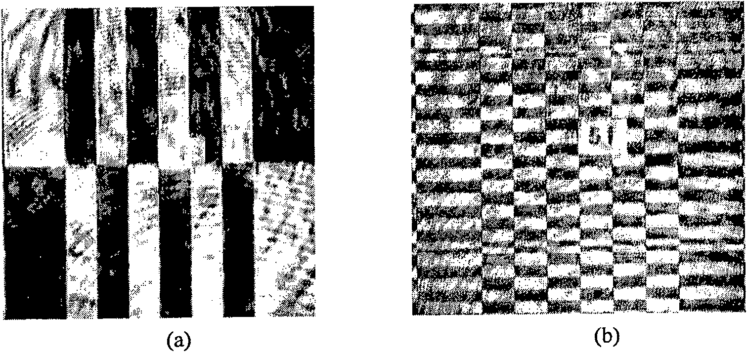 Rapid reading out system and method of holographic data storage