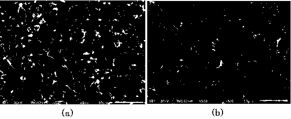 Flexible whole-solid-state battery and preparation method of same