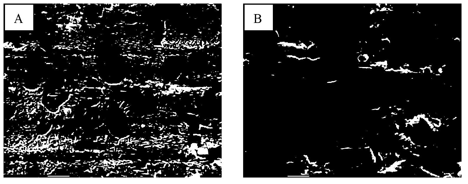 Anodic oxidation pretreatment method for environment-friendly titanium alloy