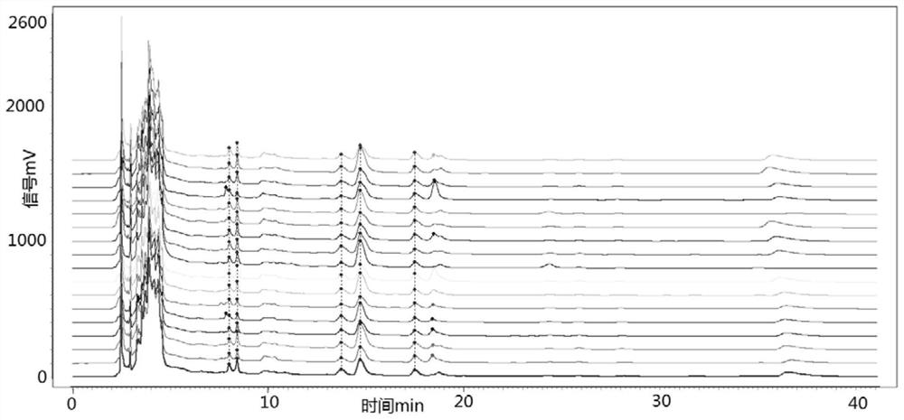 Motherwort fruit characteristic chromatogram and construction method thereof, stachydrine hydrochloride content determination method, motherwort fruit formula granule and preparation method thereof