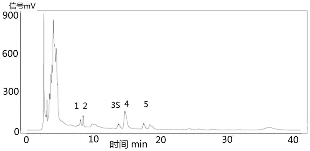 Motherwort fruit characteristic chromatogram and construction method thereof, stachydrine hydrochloride content determination method, motherwort fruit formula granule and preparation method thereof