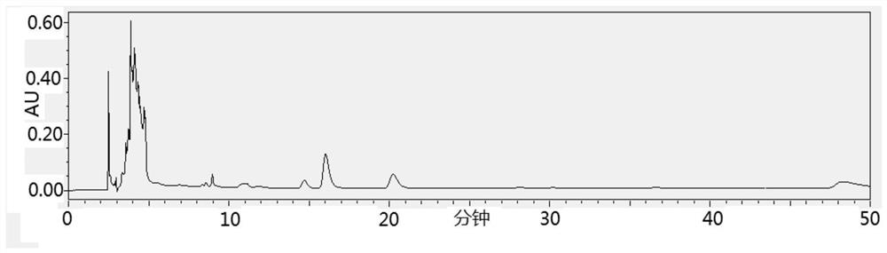 Motherwort fruit characteristic chromatogram and construction method thereof, stachydrine hydrochloride content determination method, motherwort fruit formula granule and preparation method thereof