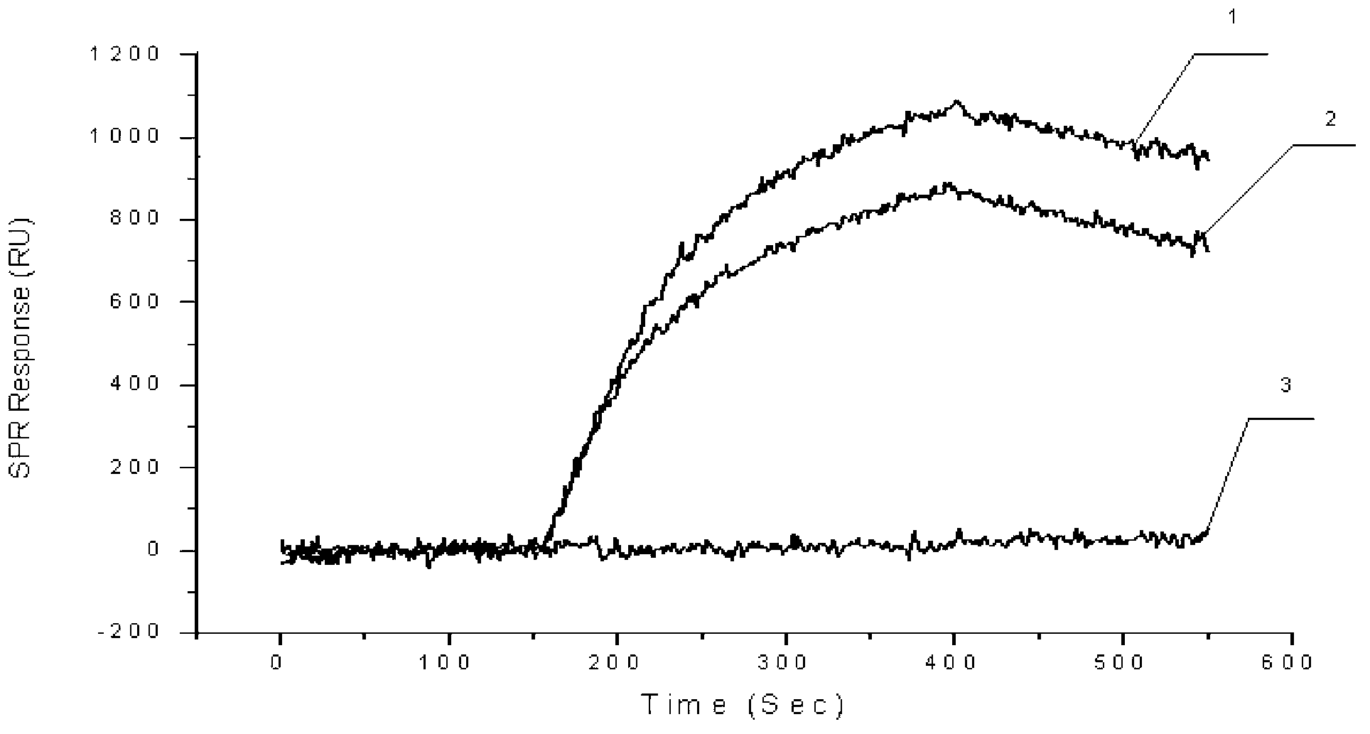 Chip, preparation method, application and method for screening drugs