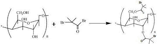 A preparation method of grafted cellulose medicinal molecules with ph/temperature responsiveness