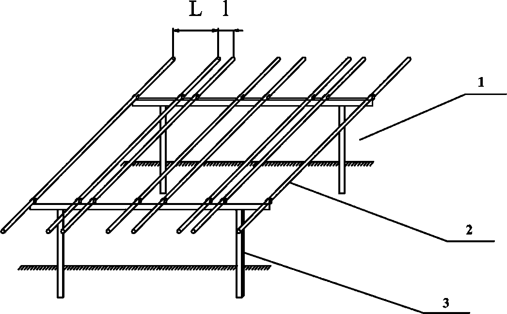 Standing frame cultivation method of anthurium cut flowers