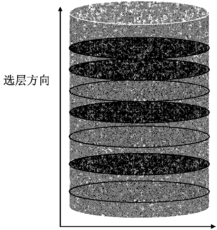 Rock heterogeneous quantitative evaluation method based on magnetic resonance imaging