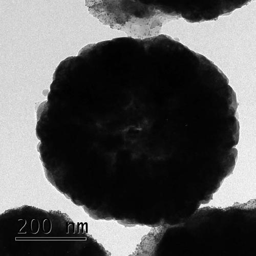 Preparation of magnetic core-shell conductive polymer loaded nanogold catalyst and application of magnetic core-shell conductive polymer loaded nanogold catalyst in p-nitrophenol hydrogenation