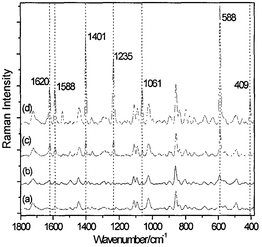 Surface enhanced Raman substrate suitable for detection of polycyclic aromatic hydrocarbon in seawater