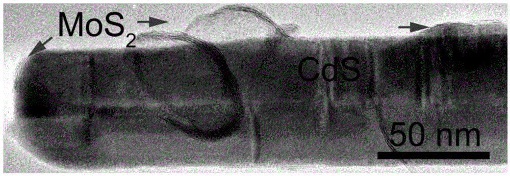 Molybdenum disulfide-cadmium sulfide nanometer composite material and preparing method and application thereof