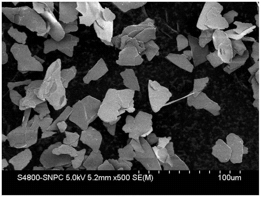 Pearlescent pigment with bactericidal power