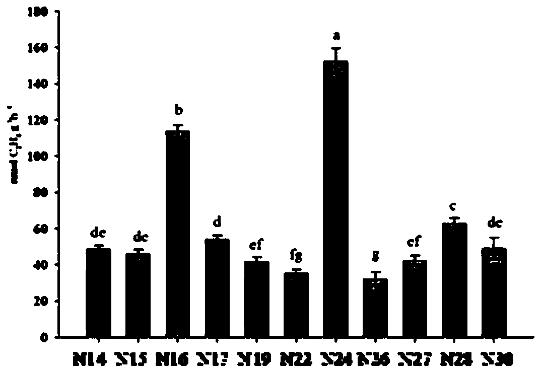 Complex microbial inoculant for promoting wheat growth and application thereof