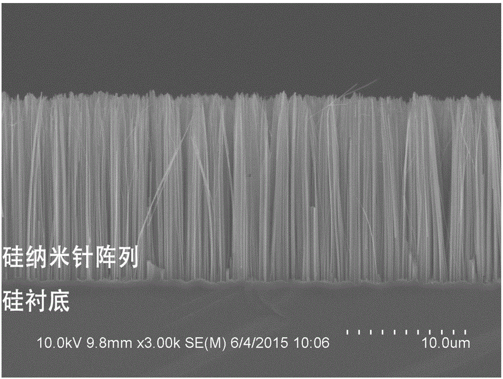 Terahertz wave broadband absorbing material based on silicon nanoneedles