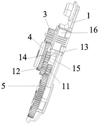 Knee joint negative work capturing exoskeleton device