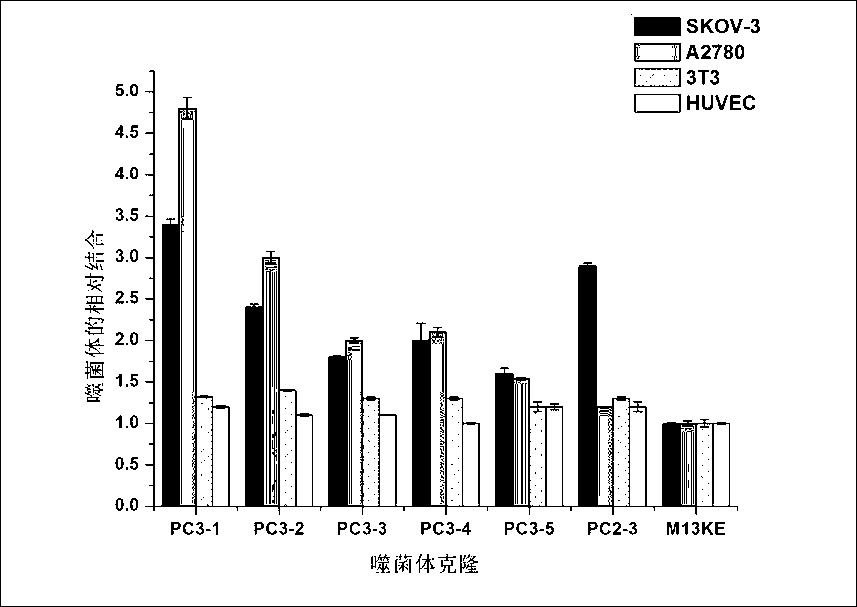 Ovarian-cancer-targeted polypeptide