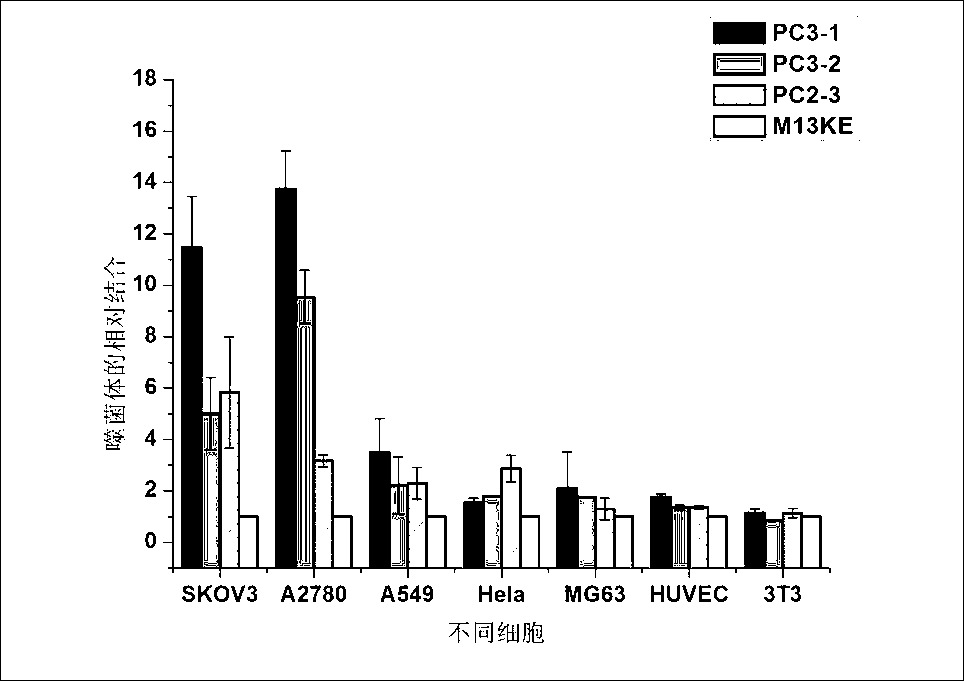 Ovarian-cancer-targeted polypeptide