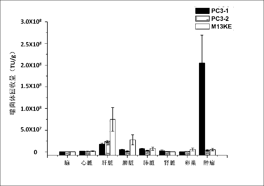 Ovarian-cancer-targeted polypeptide