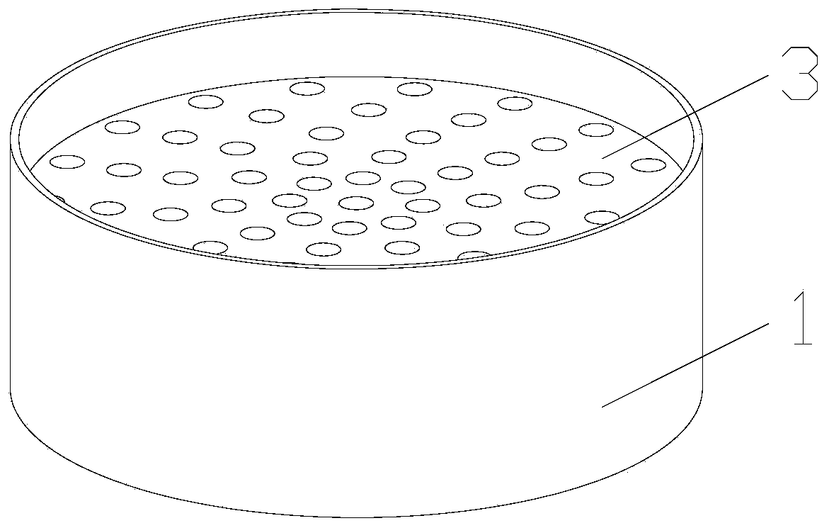 Double-layer artificial skin culture device and use method thereof