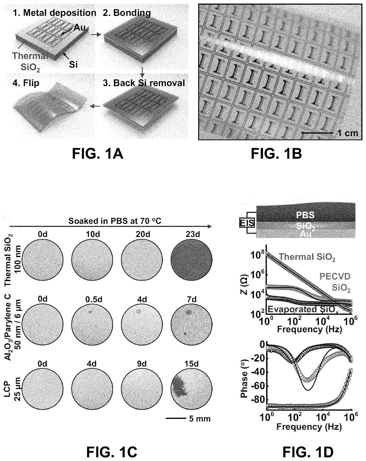 Encapsulated flexible electronics for long-term implantation