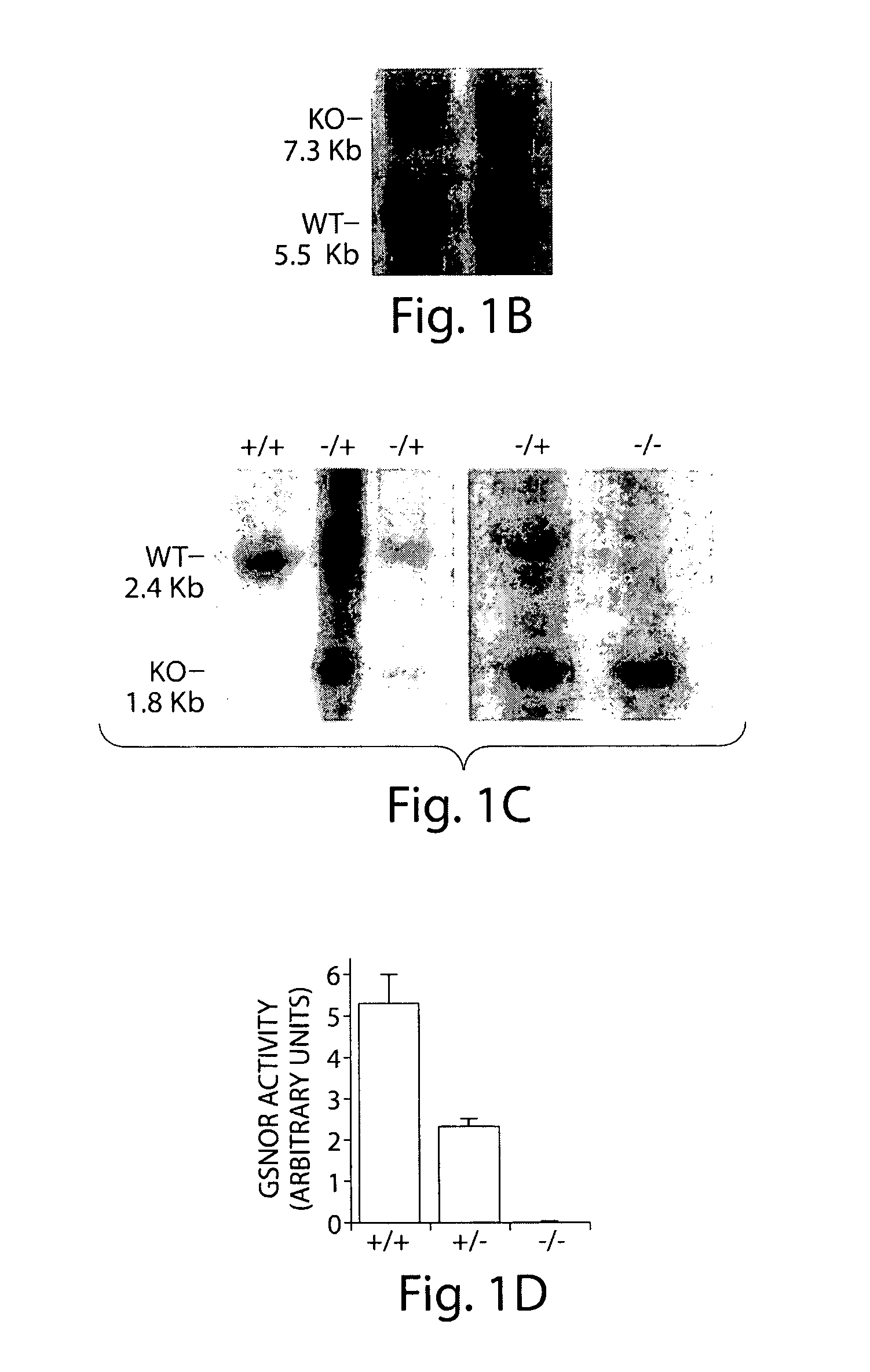 Compositions and methods for modulating S-nitrosoglutathione reductase