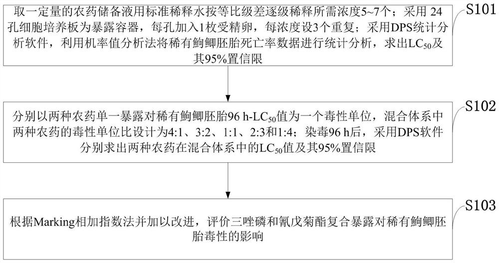 Rare gobiocypris rarus embryotoxicity determination method and water body monitoring and early warning method