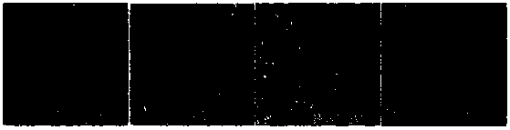 Optimization construction algorithm for aggregate grading of resin concrete