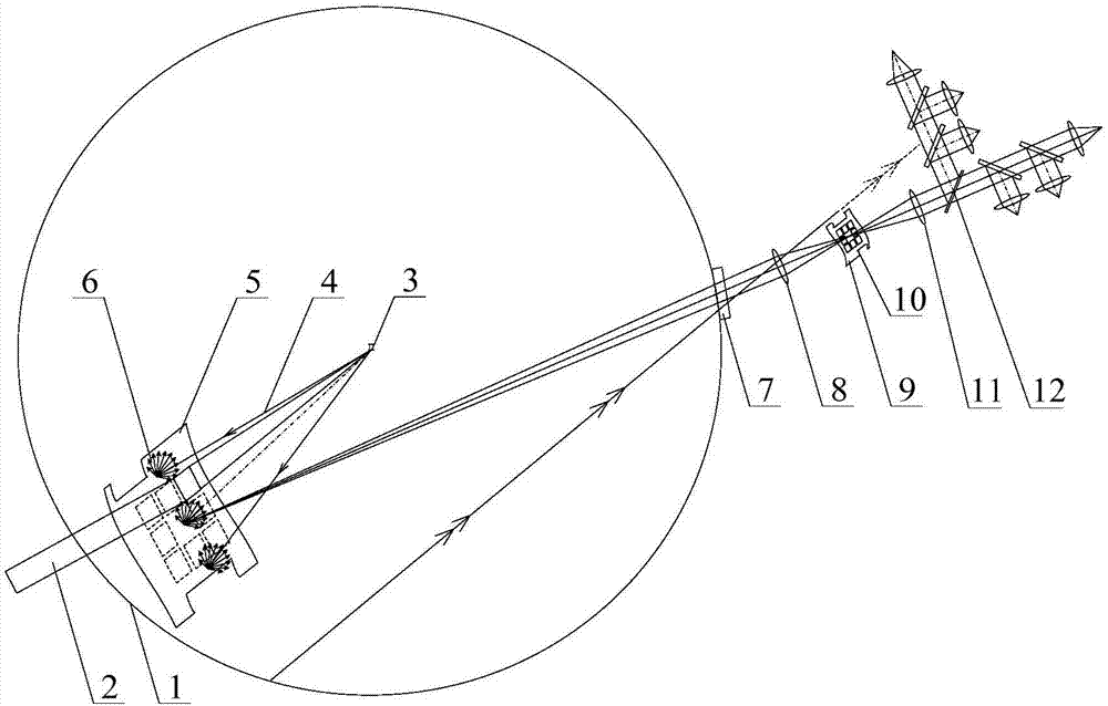 Near backscattered light measurement system resistant to stray light interference