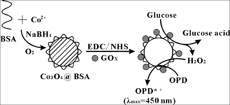 New strategy for realizing one-pot-method chromogenic detection of glucose