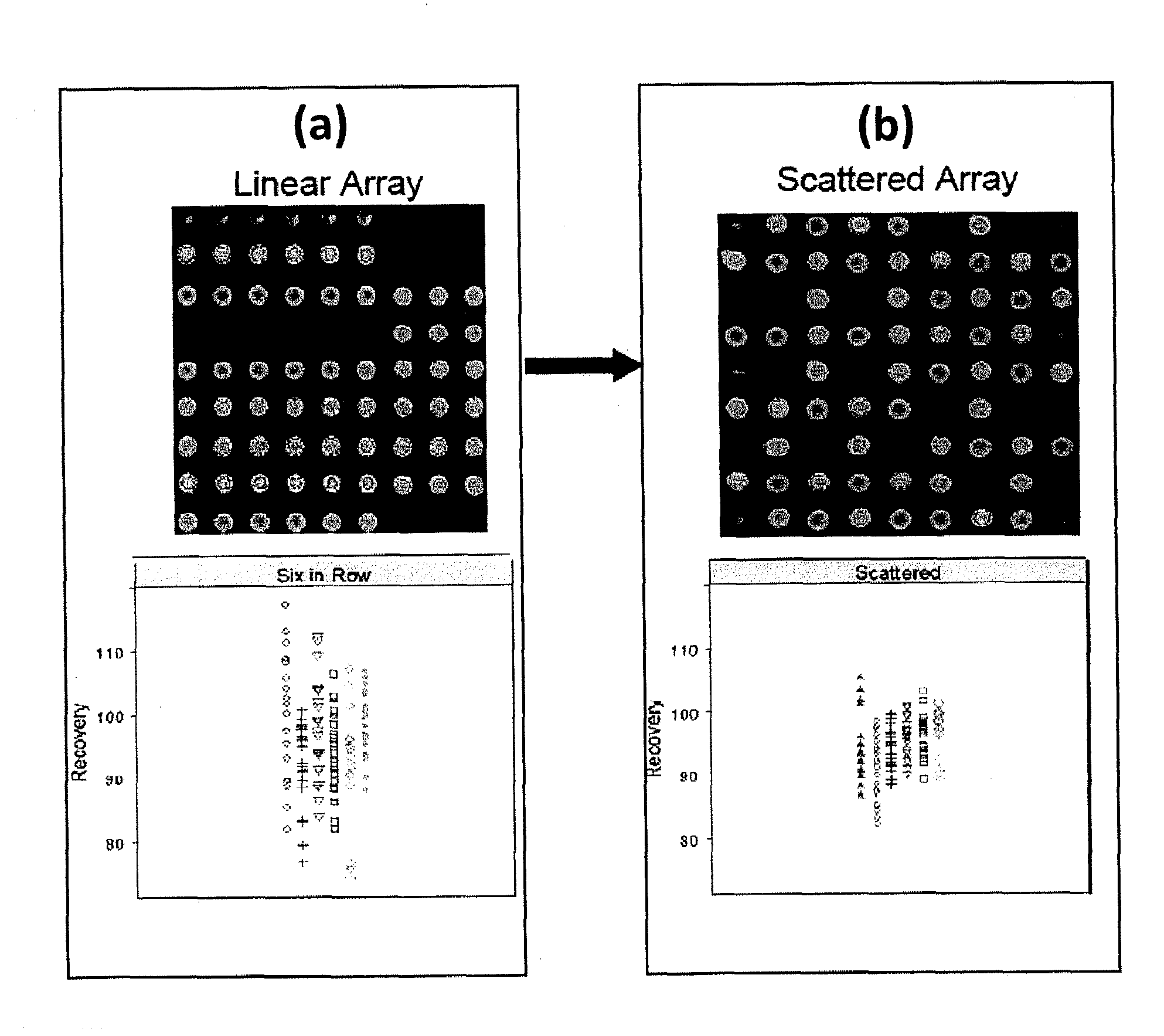 Integrated protein chip assay