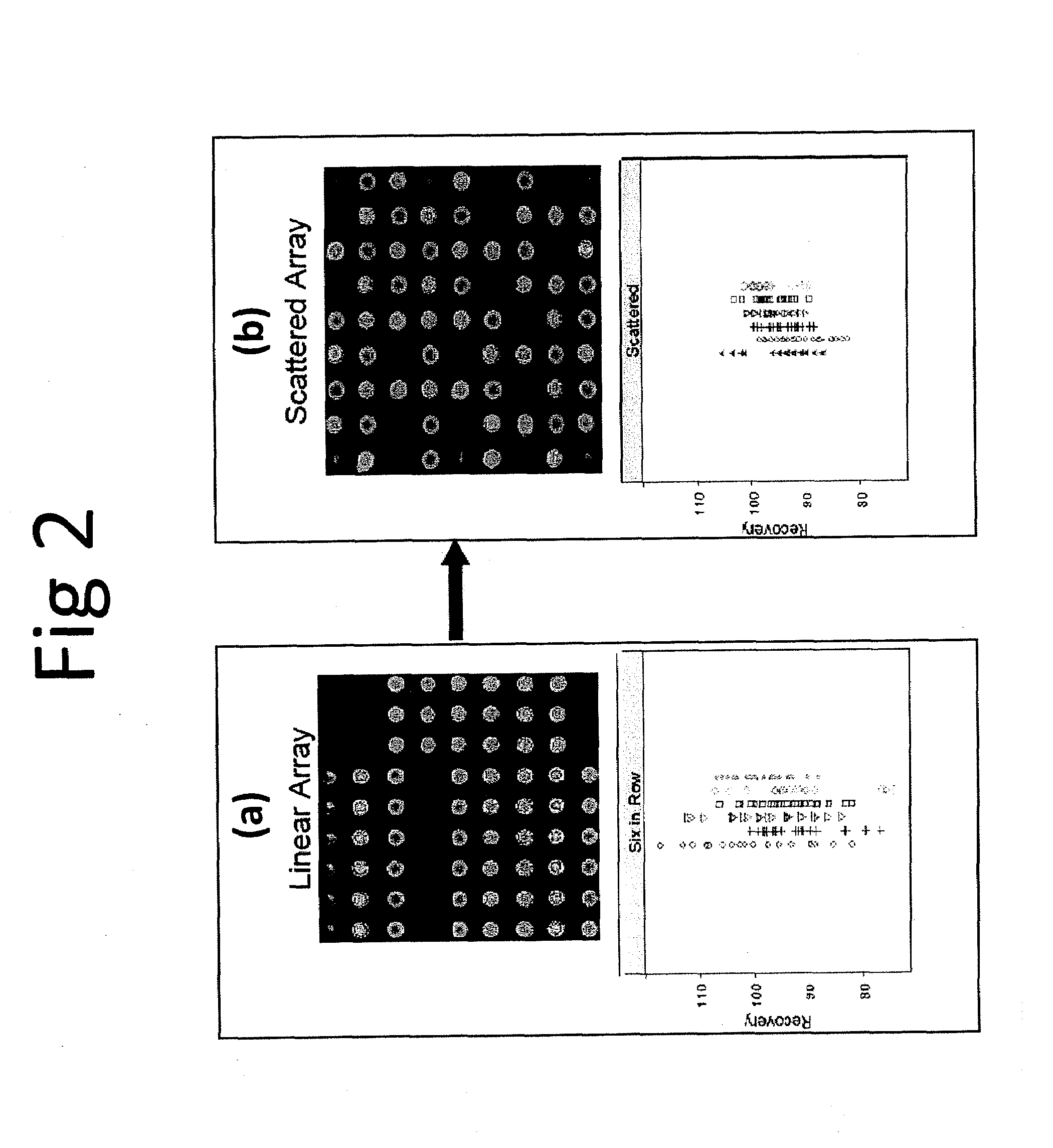 Integrated protein chip assay