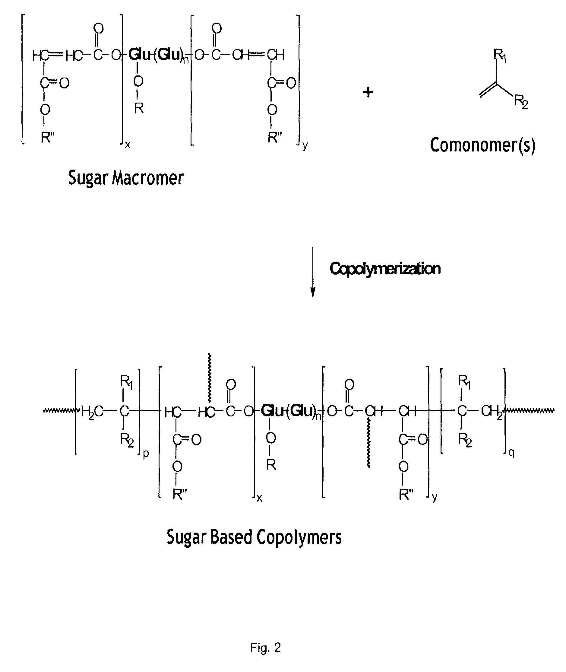 Use of biobased sugar monomers in vinyl copolymers as latex binders and compositions based thereon