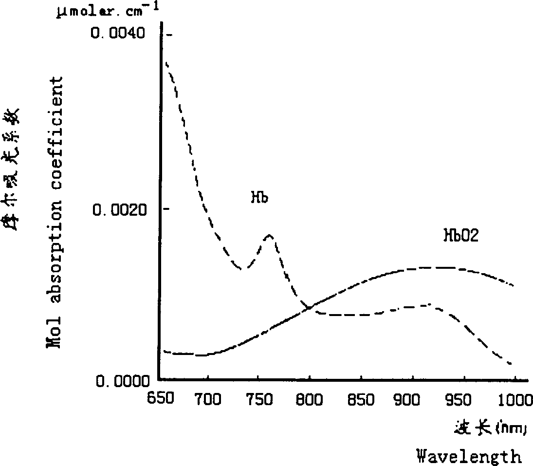 Method for detecting newborn baby partial tissue oxygen saturation under oxygen absorption stimulation