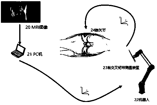 Ligament stiffness robot in-situ measuring system and method during anterior cruciate ligament reconstruction surgery