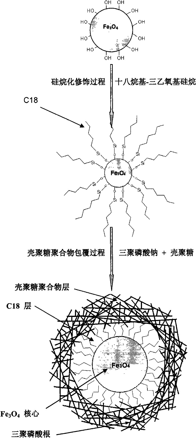 Magnetic nano-material extractant and preparation method thereof