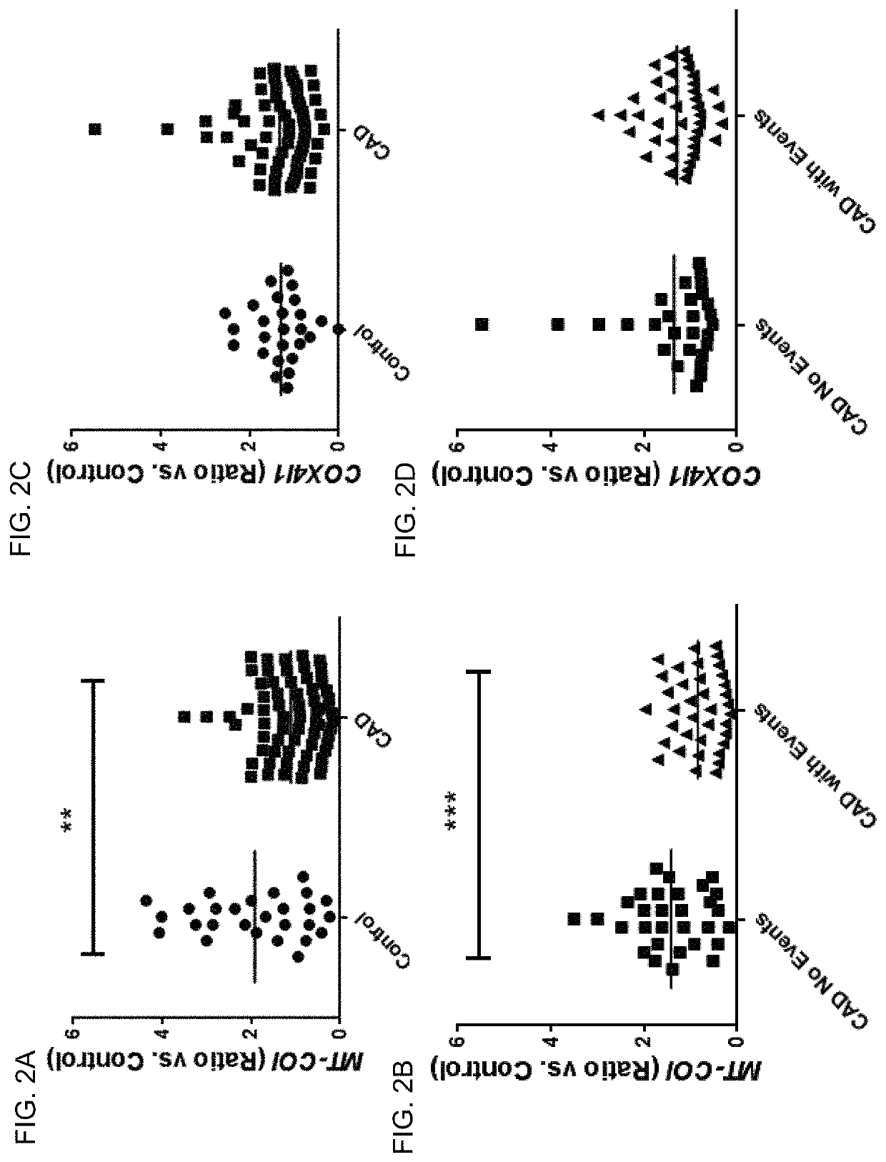 Oxidative stress and cardiovascular disease events