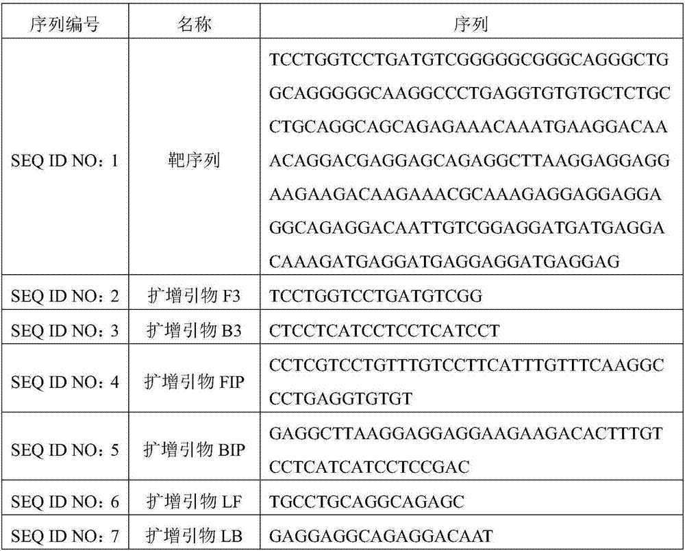 Primer composition for detecting mutation of CALR gene type 2 and kit